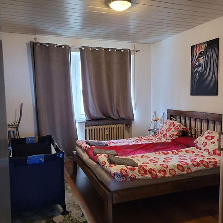 Apartments Nikol - Ludwigshafen Екстер'єр фото
